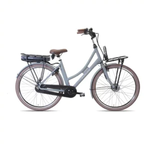 Avalon E-Bikes | Elektrische Dames Transportfiets E-Cargo 28 Inch 56 cm 7V Rollerbrake Matgrijs