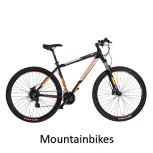 Mountainbikes, Fiestmerk Rock Machine